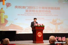 中国驻德国大使：澳门回归20年展示“一